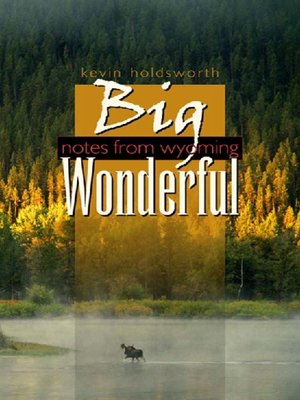 cover image of Big Wonderful